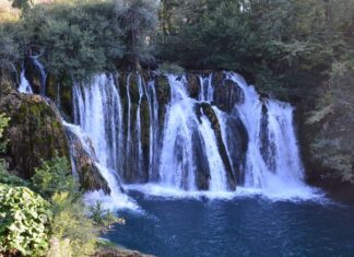 Sultan Abdul Hamid II A Ruler Living in Fear