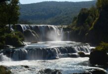 The Lion and Bull Monument